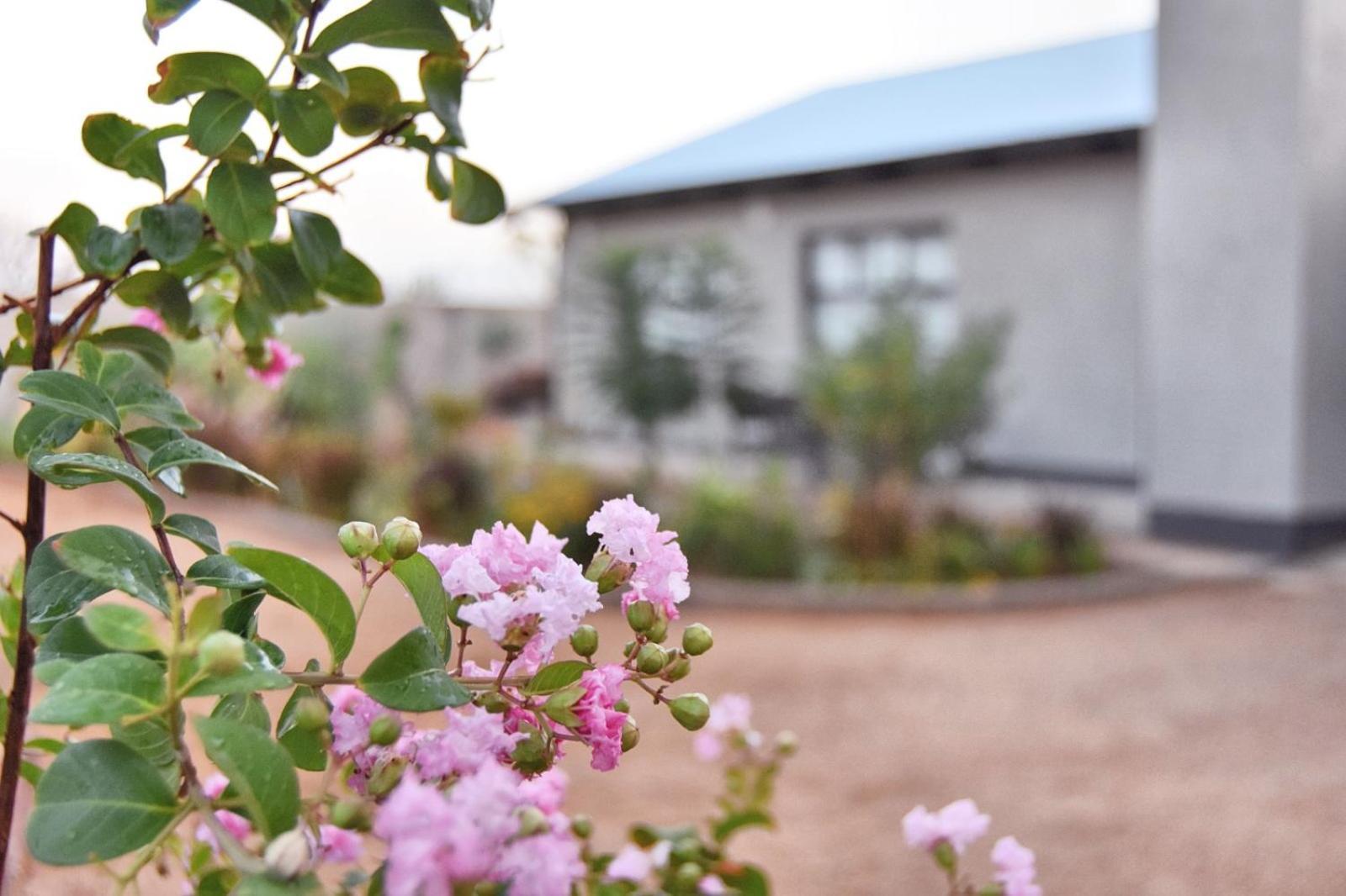 Knowhere Selfcatering Unit 1 Na 오마루루 외부 사진