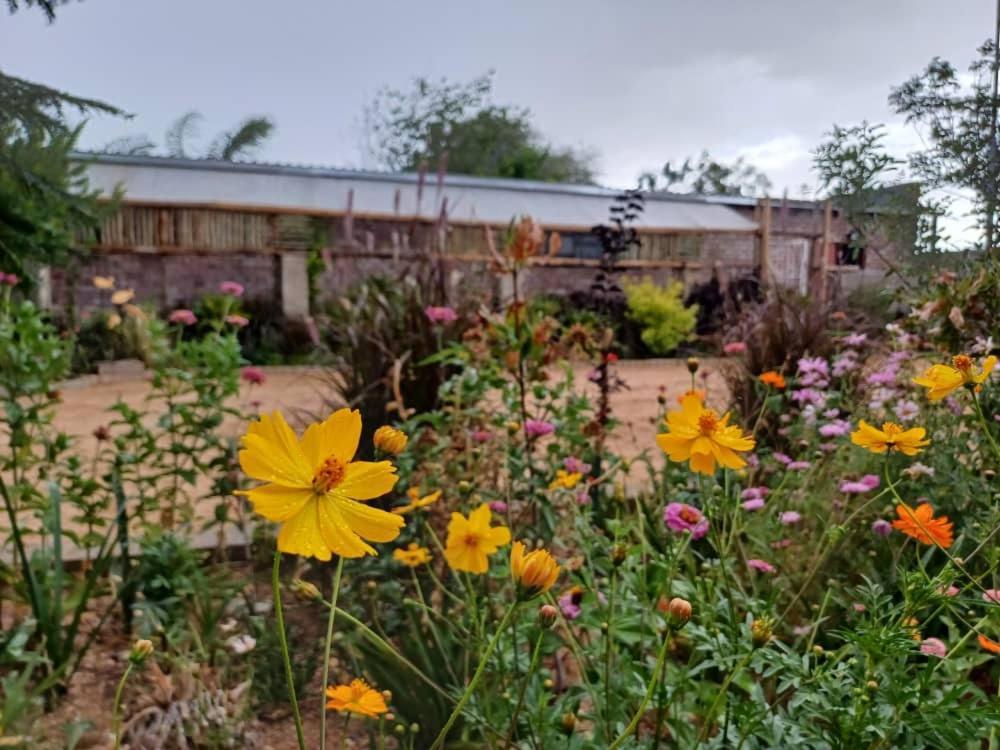 Knowhere Selfcatering Unit 1 Na 오마루루 외부 사진